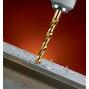dewalt_dt5048_qz
