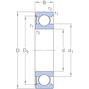 skf_6007_rs1_2