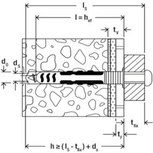 fischer_557728_10