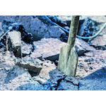 bosch_1618601011_6