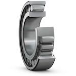 skf_c4908v