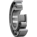 skf_n312ecjc3