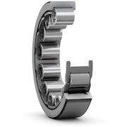 skf_rnu306