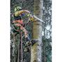 dewalt_dcmcst635n_xj