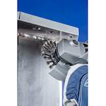 pferd_43312002_4