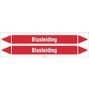 brady_n003969