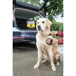 karcherhomegarden_16800180_3