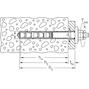 fischer_92020_15