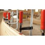 bessey_tg100s12