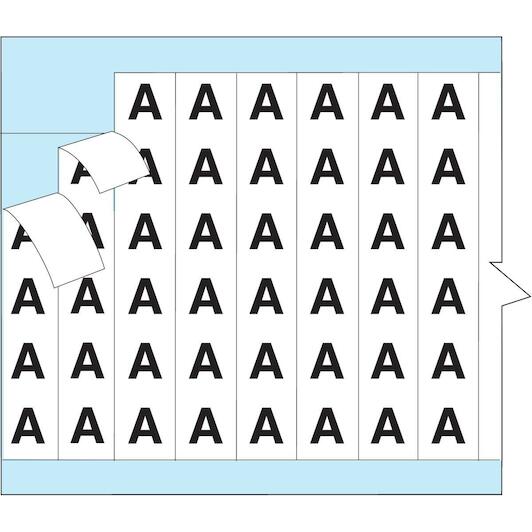 brady_111529_2