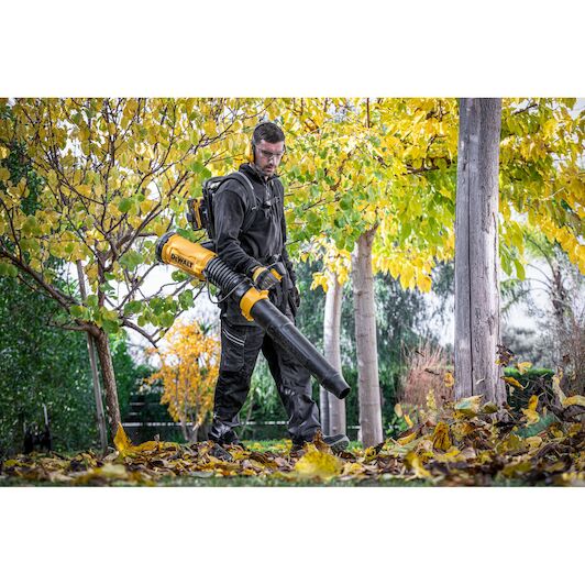 dewalt_dcmbbl800n_xj_5