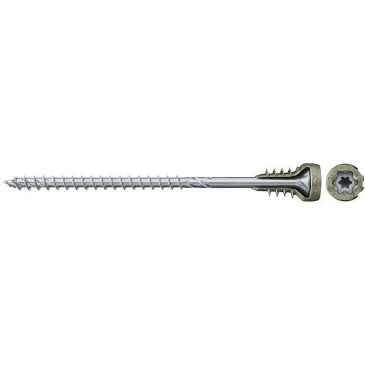 fischer_558882