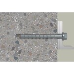 fischer_536866_5