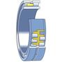 skf_nnu4926bspw33