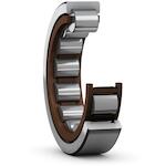skf_rnu202ecp