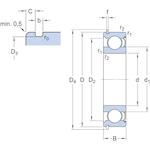 skf_6306_znr_2