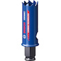 bosch_2608900421