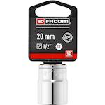 facom_s20pb