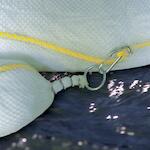 spc_813770_3