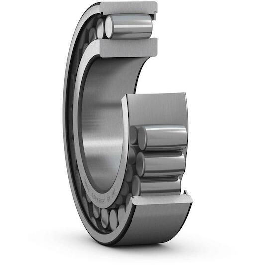 skf_c4026vc3