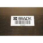 brady_030293_3