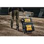 dewalt_dwst60107_1
