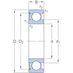 skf_6013_rs1_2