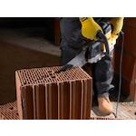 dewalt_dt2974_qz