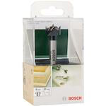 bosch_2609255279