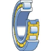 skf_srv20218mb