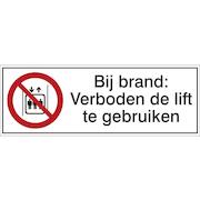 brady_227881