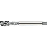 phantom_256411588