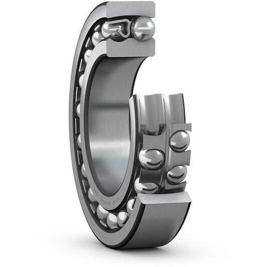 skf_2306