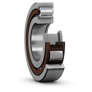 skf_nup2310ecp