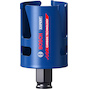 bosch_2608900465