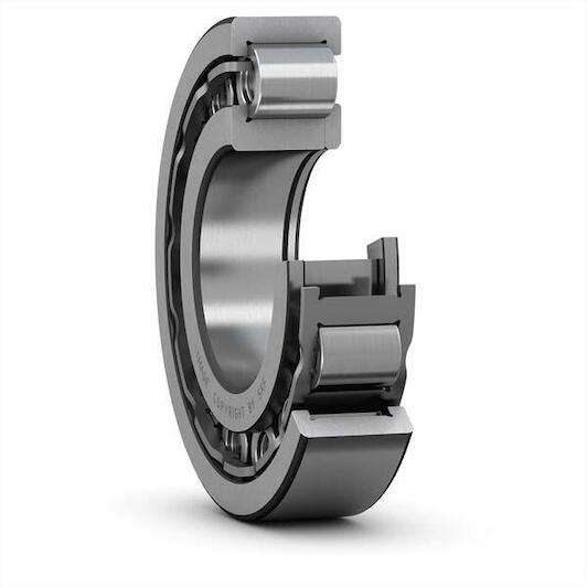skf_nup213ecj