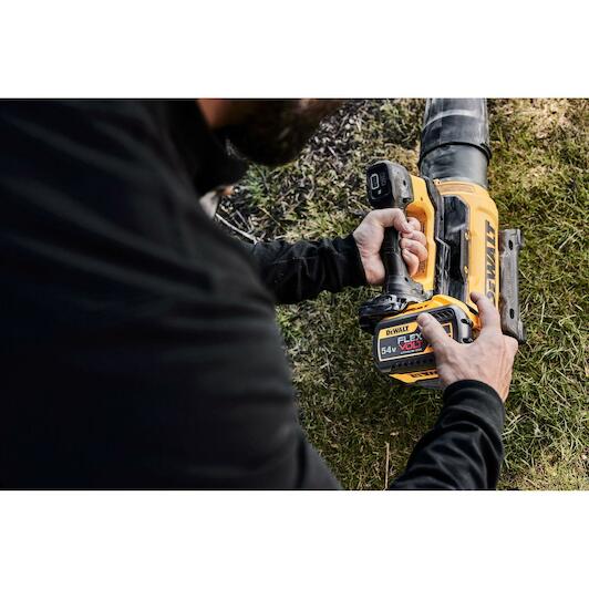 dewalt_dcmbl777n_xj
