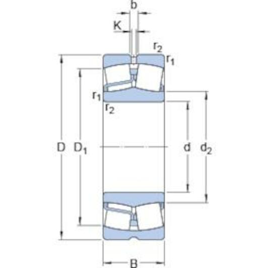 skf_21320ec3_2