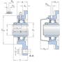 skf_ucf215_2