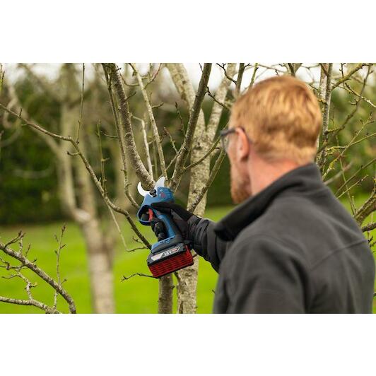 bosch_06008d8200_2