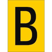 brady_911056