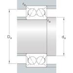 skf_3219ac3_3