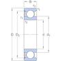 skf_6009_rs1_2