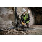 dewalt_dcs389x2_qw