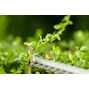 bosch_06008d5100_12