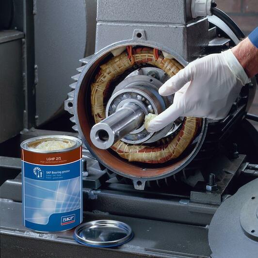 skf_lghp204_3