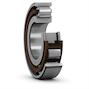skf_n219ecp