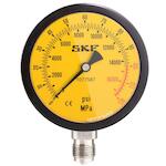 skf_1077587