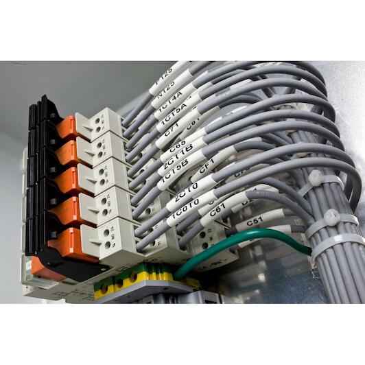 brady_622009_7