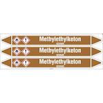 brady_n005281